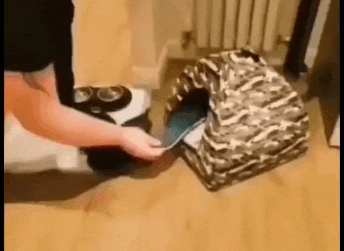 Просто гифки, всякие и&nbsp;разные