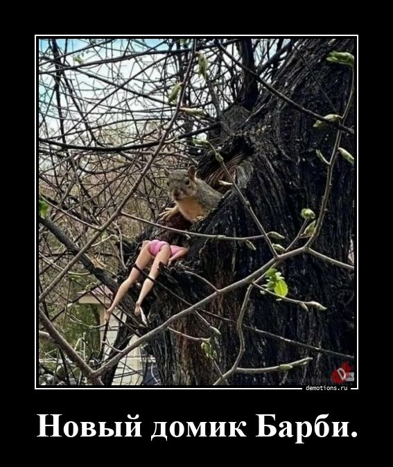 Забавные демотиваторы для поднятия настроения