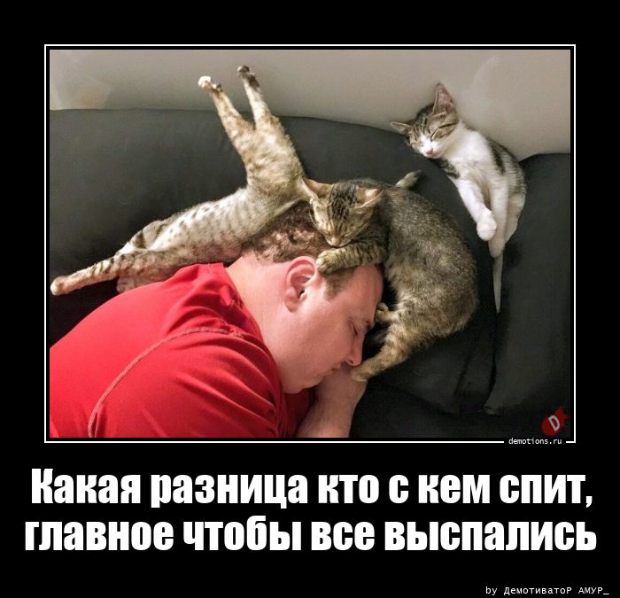 Забавные демотиваторы для поднятия настроения