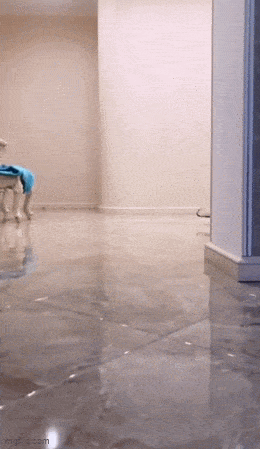 Просто гифки, всякие и&nbsp;разные