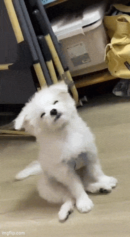 Просто гифки, всякие и&nbsp;разные