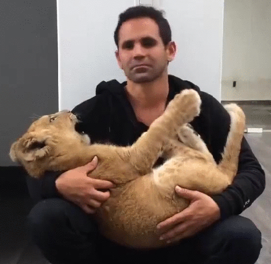 Просто гифки, всякие и&nbsp;разные