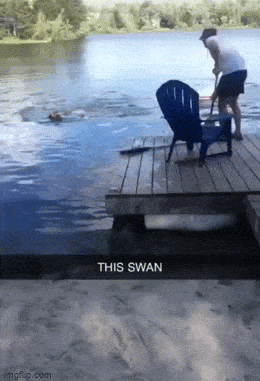 Просто гифки, всякие и&nbsp;разные