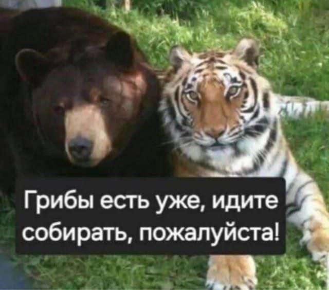 Скрины из соцсетей