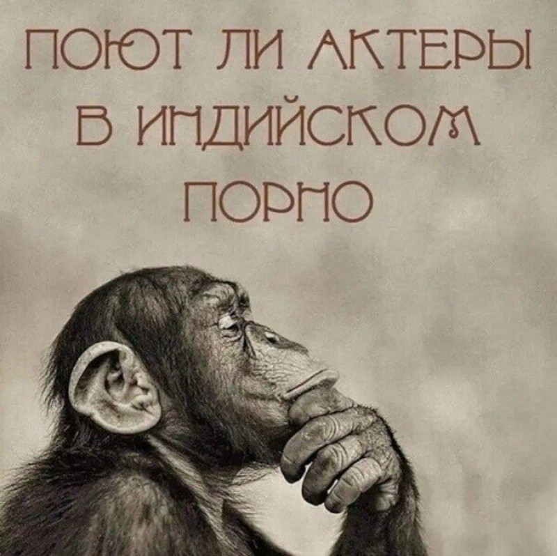 Не ищите здесь смысл. Здесь в основном маразм
