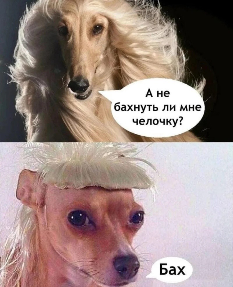 Не ищите здесь смысл. Здесь в основном маразм