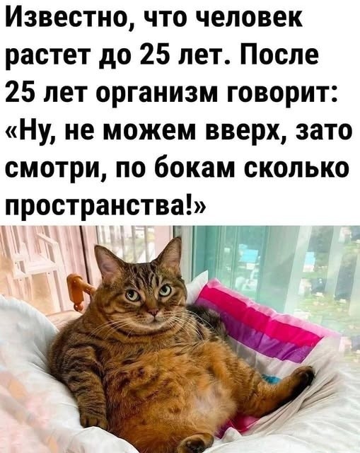 Не ищите здесь смысл. Здесь в основном маразм