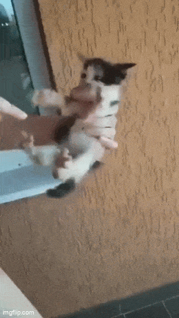 Просто гифки, всякие и&nbsp;разные