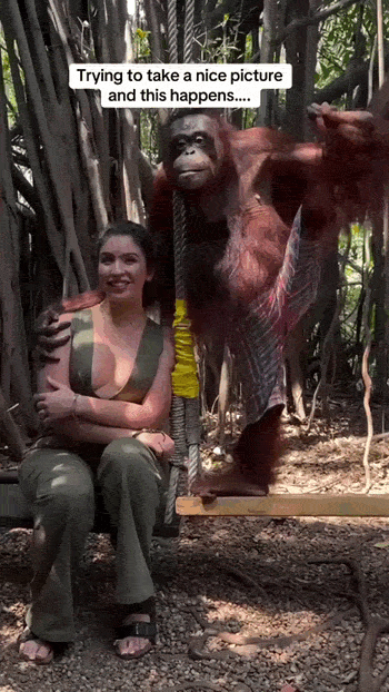 Просто гифки, всякие и&nbsp;разные