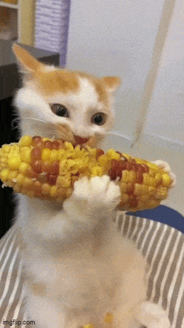 Просто гифки, всякие и&nbsp;разные