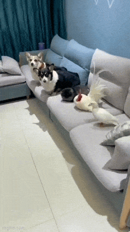 Просто гифки, всякие и&nbsp;разные