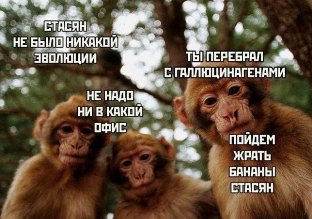 Скрины из соцсетей
