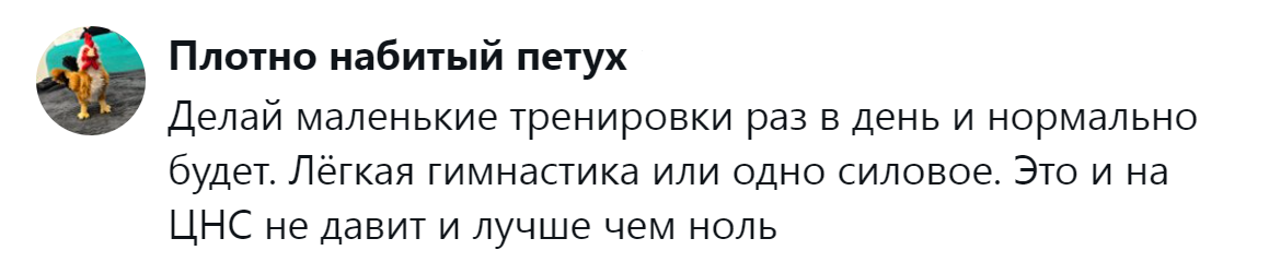 15. Лёгкая гимнастика или одно силовое лучше чем ноль