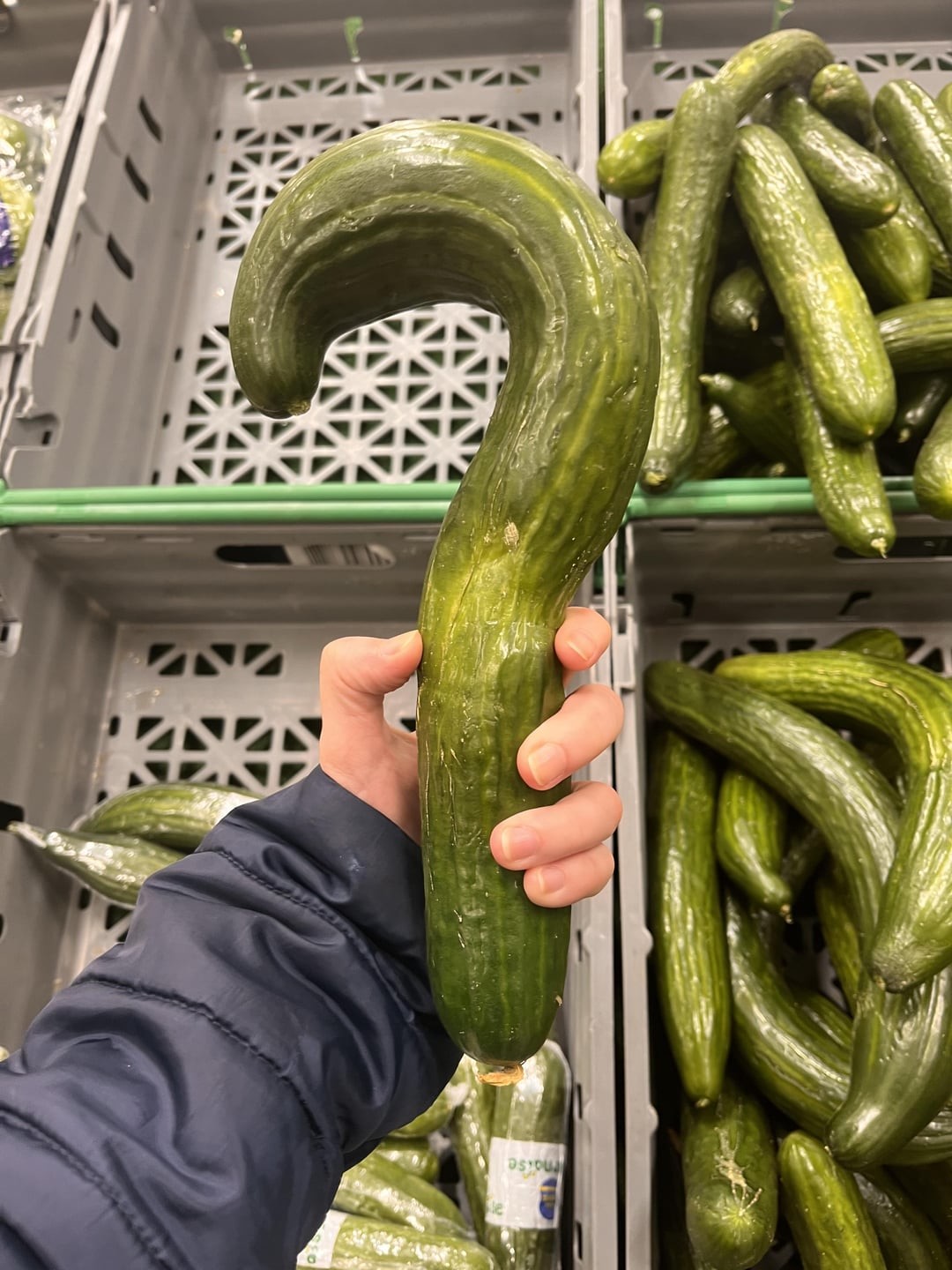 3. Вопрошающий огурец