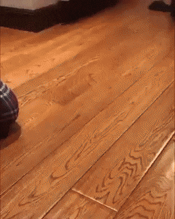 Просто гифки, всякие и&nbsp;разные