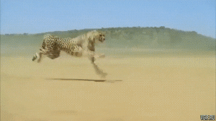 Просто гифки, всякие и&nbsp;разные