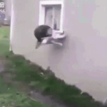 Просто гифки, всякие и&nbsp;разные