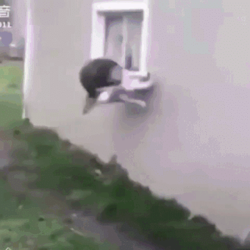 Просто гифки, всякие и&nbsp;разные