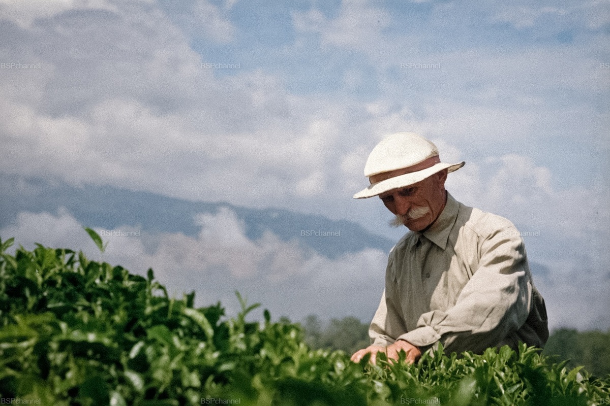 Подборка простых и потрясающих фотографий эпохи СССР