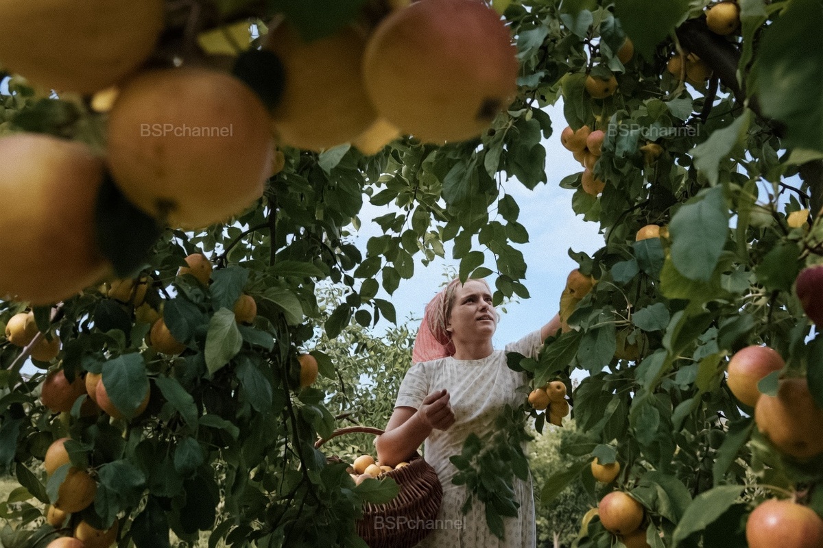 Подборка простых и потрясающих фотографий эпохи СССР