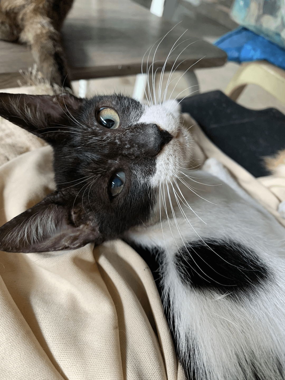 15. Взгляд с безуминкой