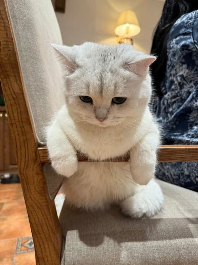 4. Налетела грусть