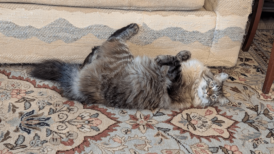 19. Гимнастика для ленивых