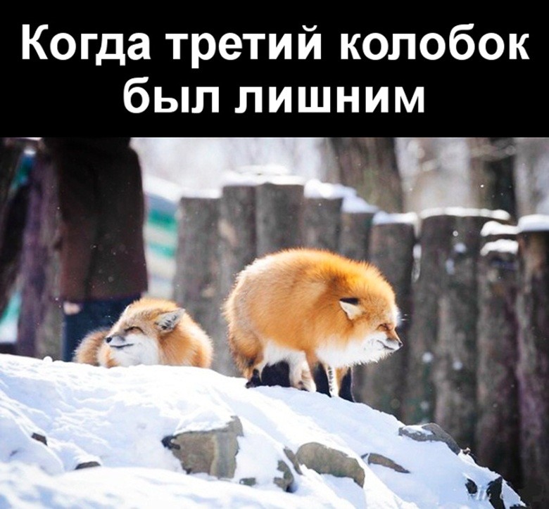 По сусекам теперь по ГОСТу: в России официально утвердили рецепт Колобка