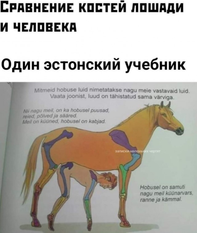 33 прикола