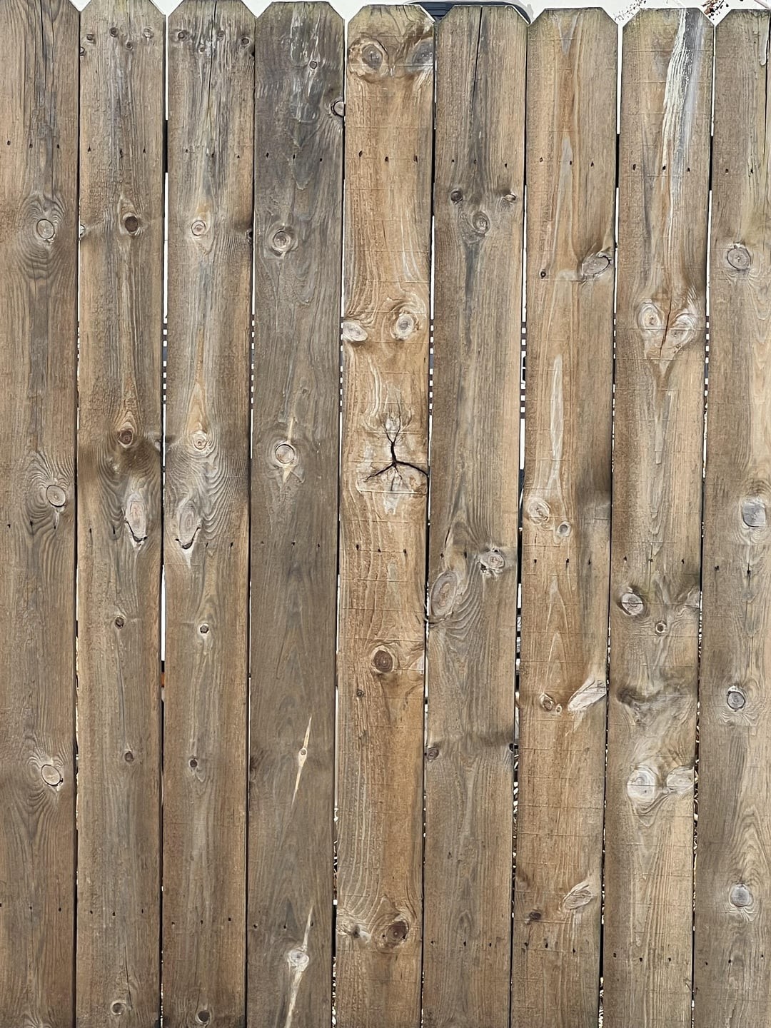 11. Подозревающей лев