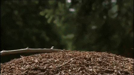 Просто гифки, всякие и&nbsp;разные