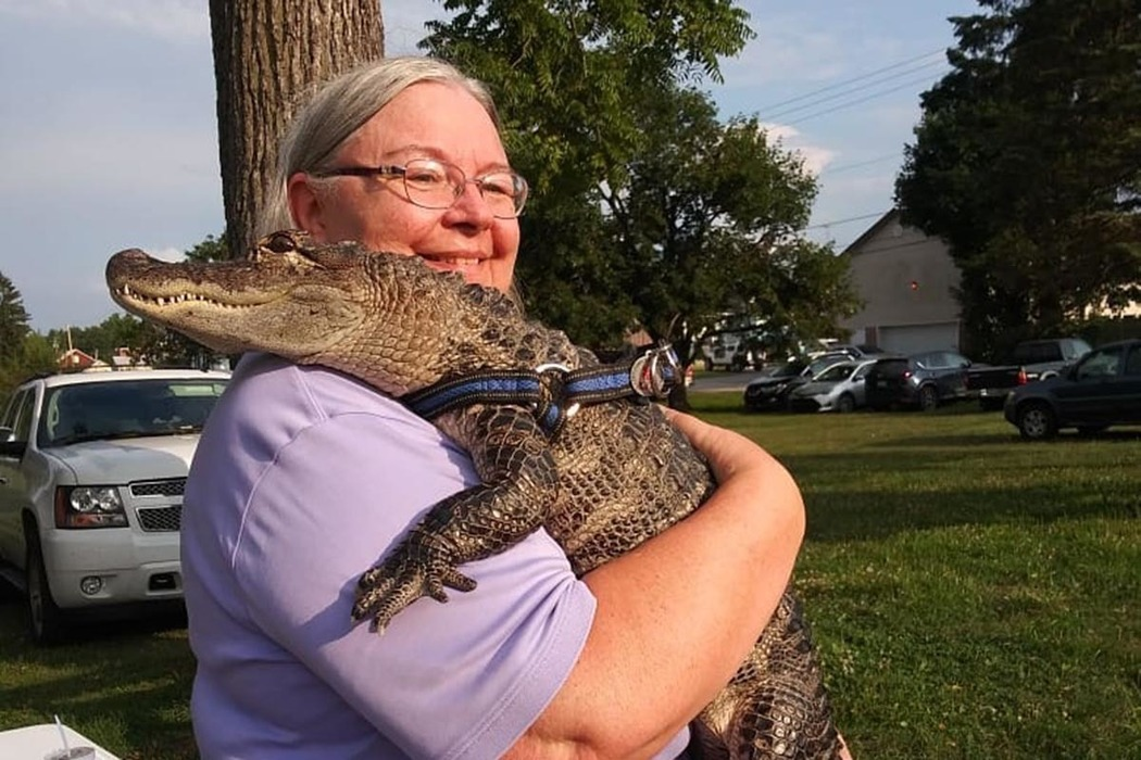Аллигатор Гитлера: 3 года выживал на руинах Берлина, попал в СССР и обрёл славу