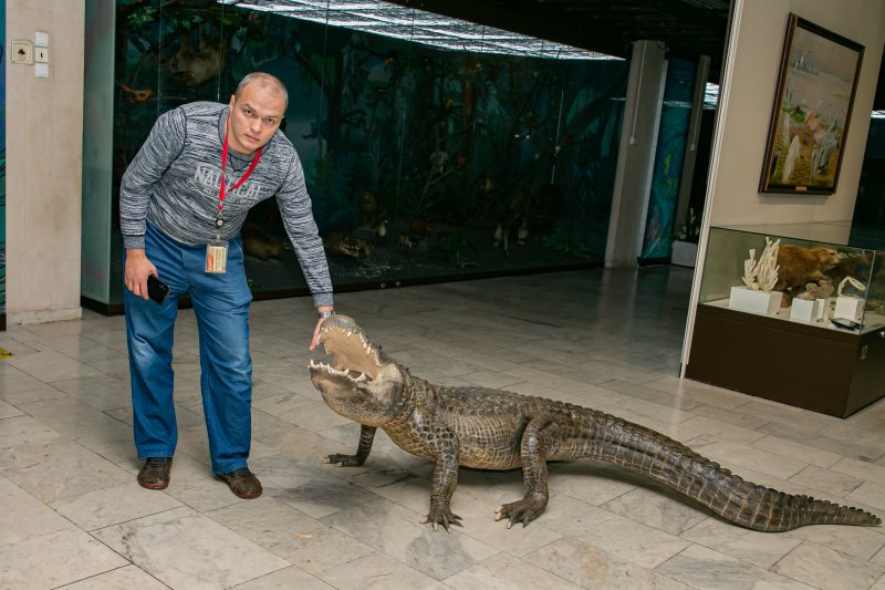 Аллигатор Гитлера: 3 года выживал на руинах Берлина, попал в СССР и обрёл славу