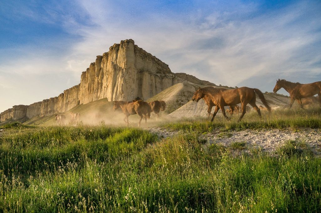 Главная "кинозвезда" Крыма: какие фильмы снимали в Крыму на Белой Скале