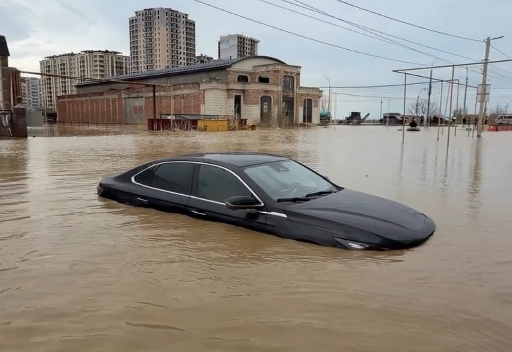 "Садясь в автомобиль не забудь отряхнуть ноги"