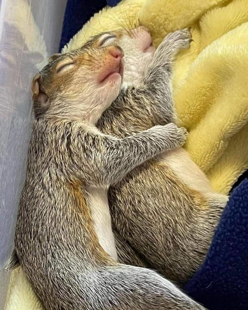 На общую тему&nbsp;