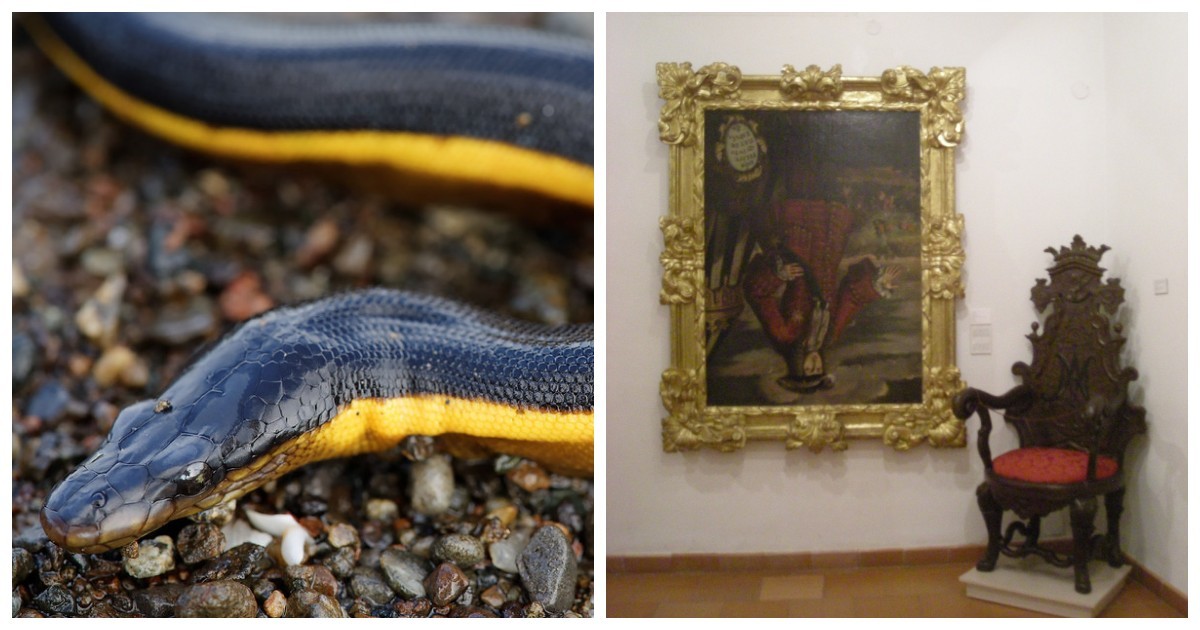 От недовольного воскресшего до обезболивающих скатов: 8 исторических фактов, в которые трудно поверить, но они правдивы