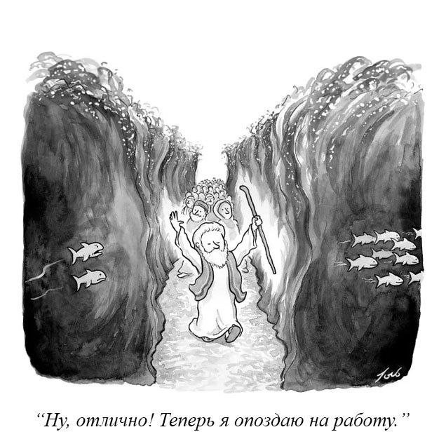 Скрины из соцсетей