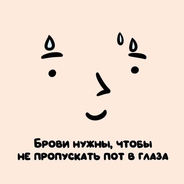 А вдруг ты не знал…