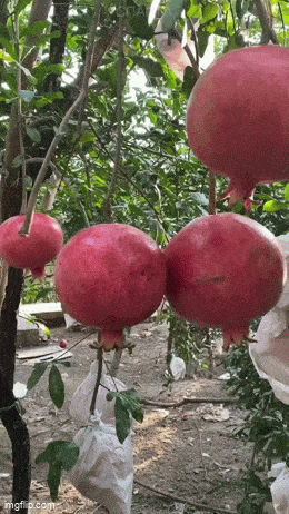 Просто гифки, всякие и&nbsp;разные