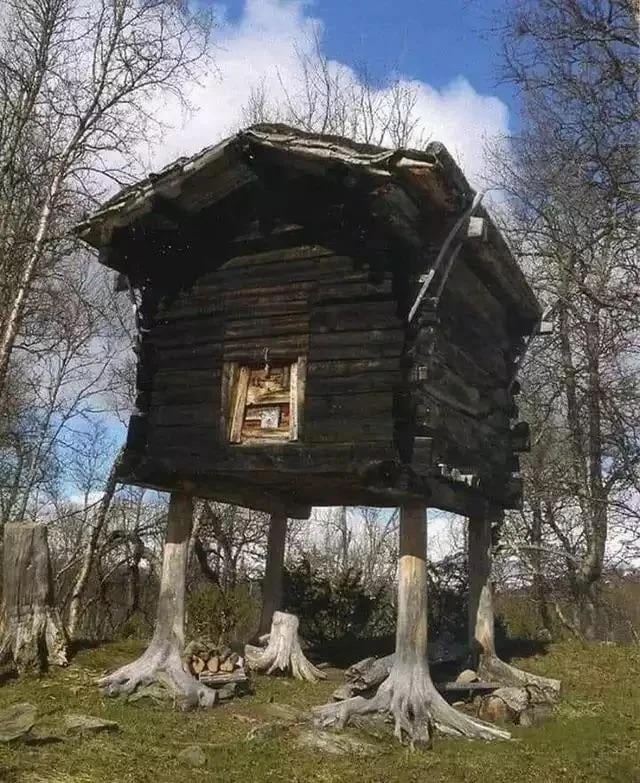 17. Избушка на курьих ножках - одно из старейших зданий, построенное в XVIII веке, в муниципалитете Хаттфьельд в Норланде, Норвегия