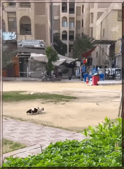 Просто гифки, всякие и&nbsp;разные