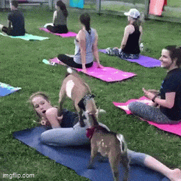 Просто гифки, всякие и&nbsp;разные