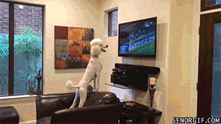 Просто гифки, всякие и&nbsp;разные