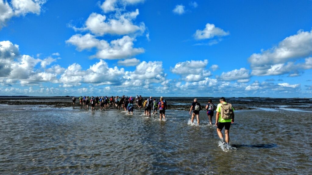 Ваттовое море: зыбучая тропа Атлантики