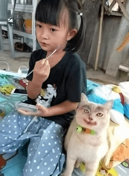 18. Красота для кота
