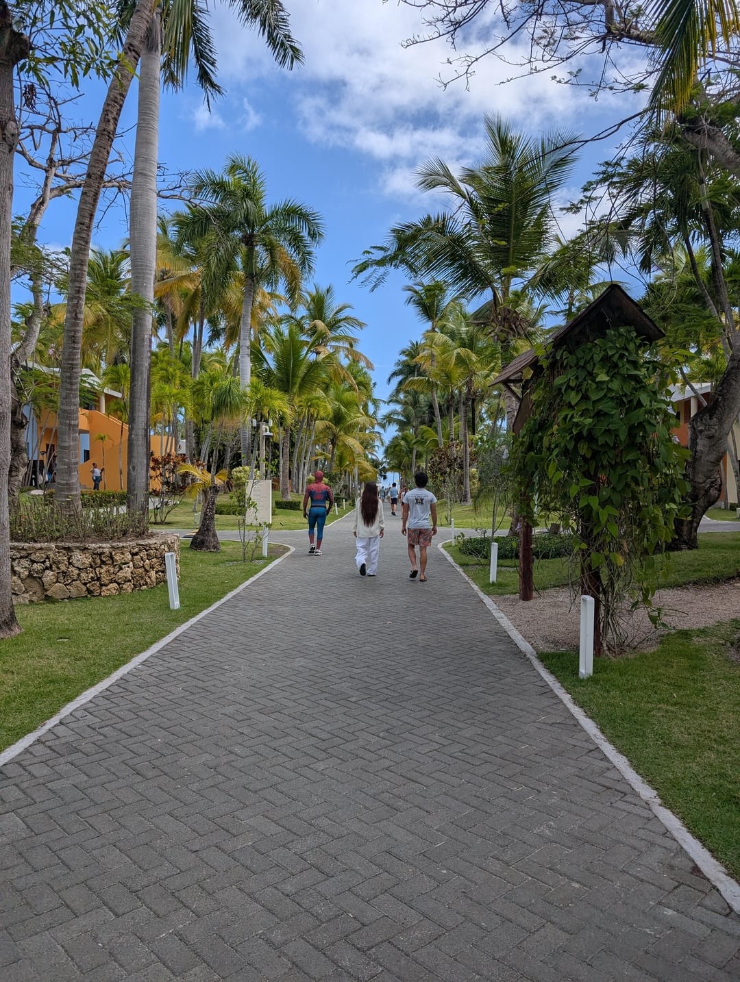 5. Супергерои рядом