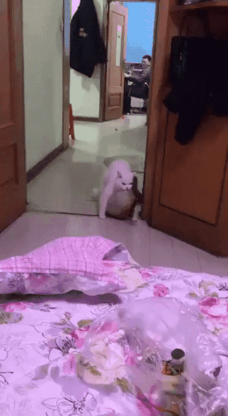 Просто гифки, всякие и&nbsp;разные