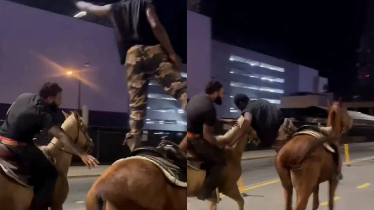 Лошадь сбежала после падения всадника и попала в ДТП