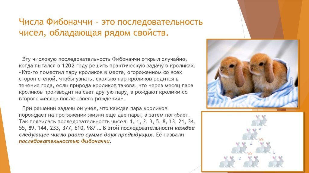 Не философия Аристотеля и не религиозные догматы, а конкретные вещи. Чисто конкретные